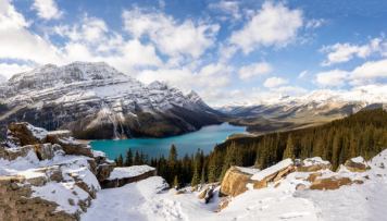 Landscape shot of Peyto lake in Banff National Park in the winter time
