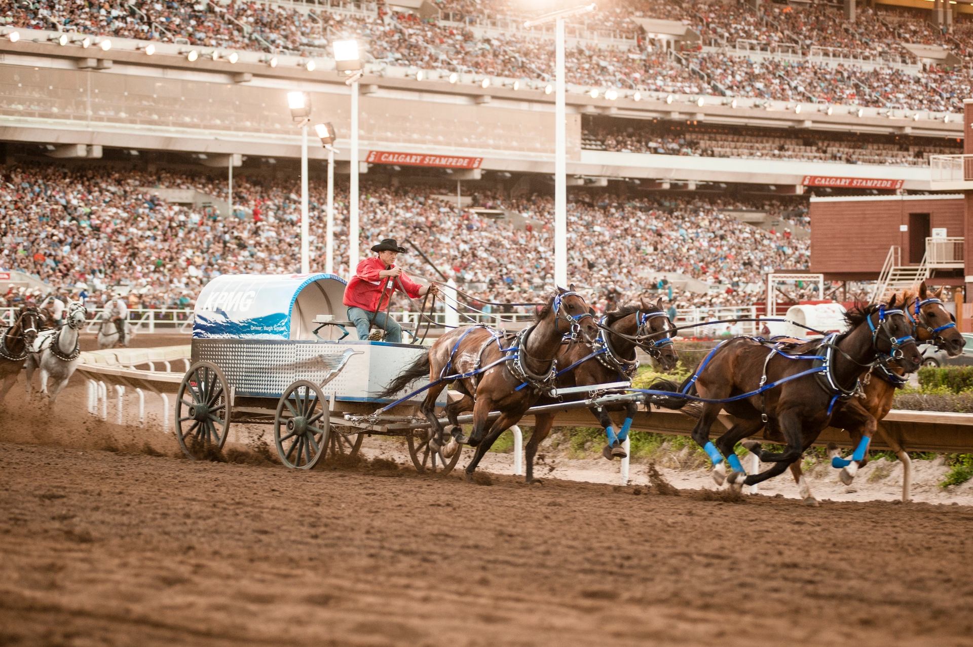 A chuckwagon driver and his horses race around the track with a packed crowd.