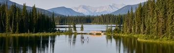 Aerial of two people standup paddle boarding (SUP) on Kelley's Bathtub in William A. Switzer Provincial Park