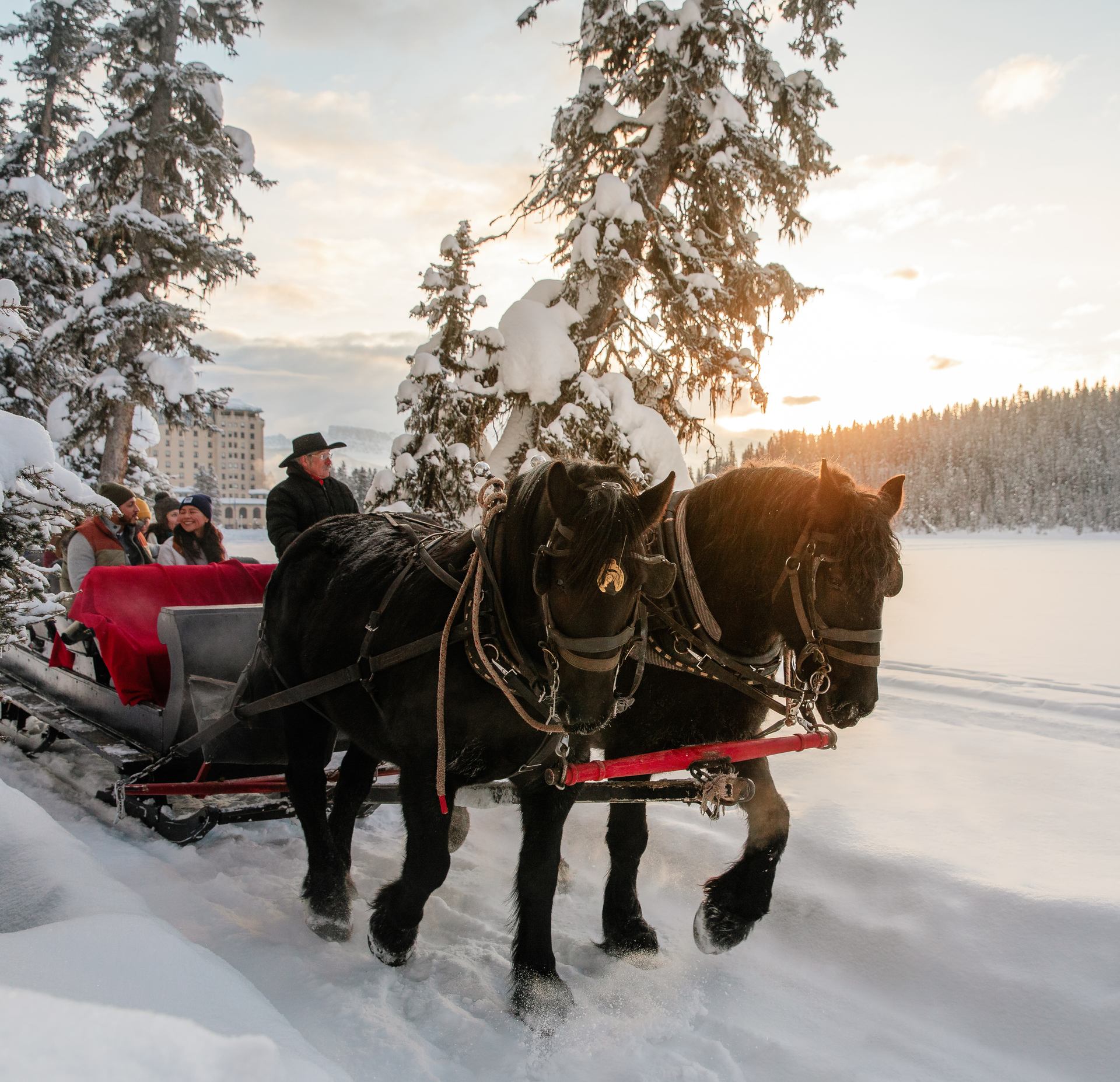 An early morning sleigh ride along a path beside a frozen Lake Louise in Banff National Park