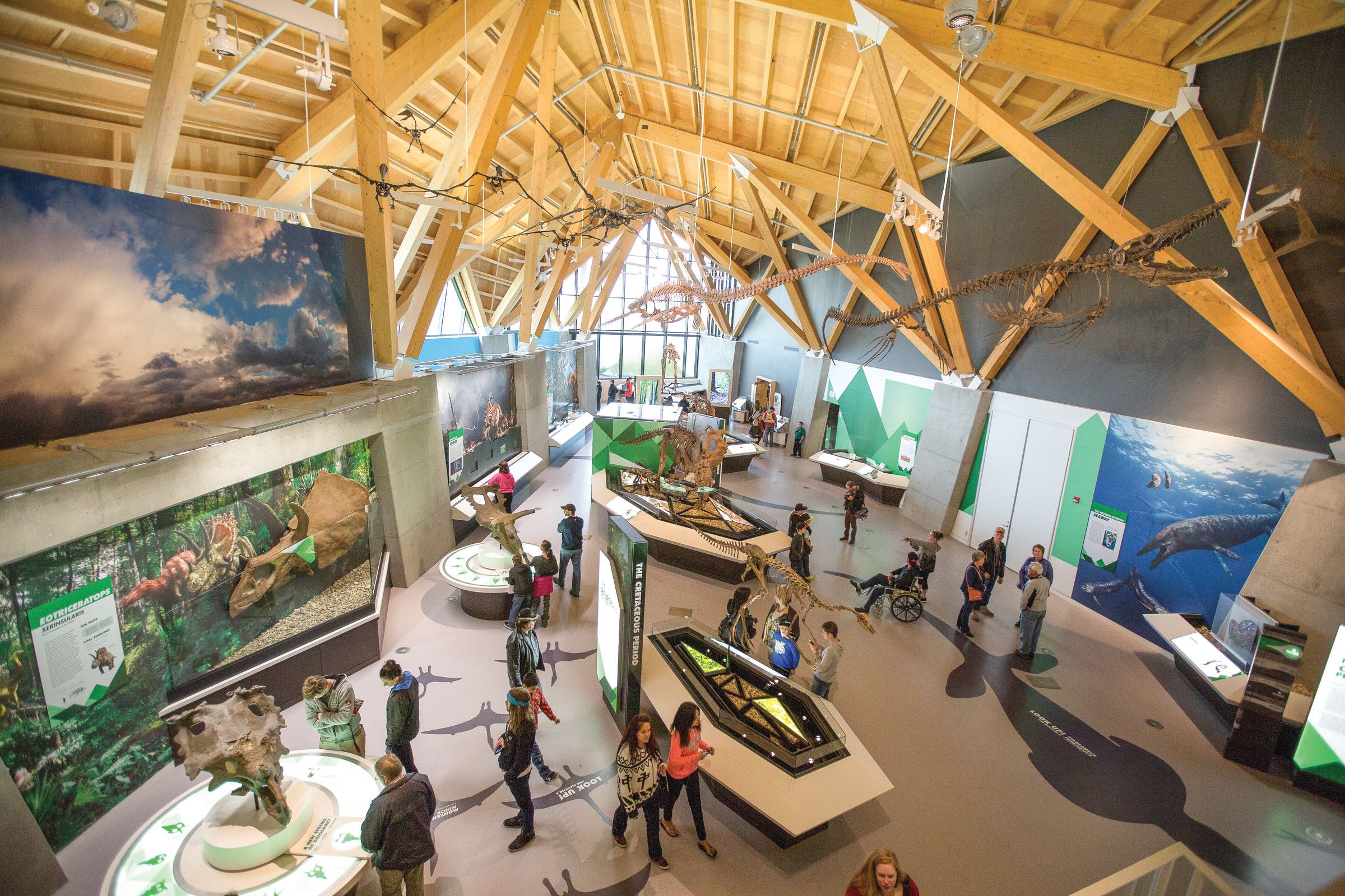 People looking at displays inside the Philip J. Currie Dinosaur Museum in Wembley.