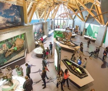 People looking at displays inside the Philip J. Currie Dinosaur Museum in Wembley.