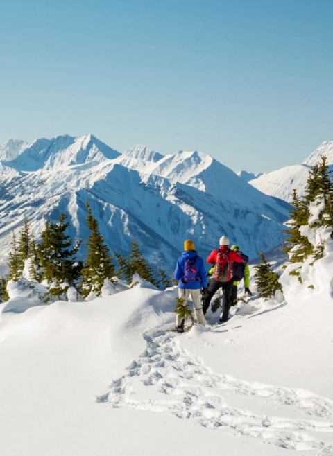 Snowshoeing in Sunshine Meadows.