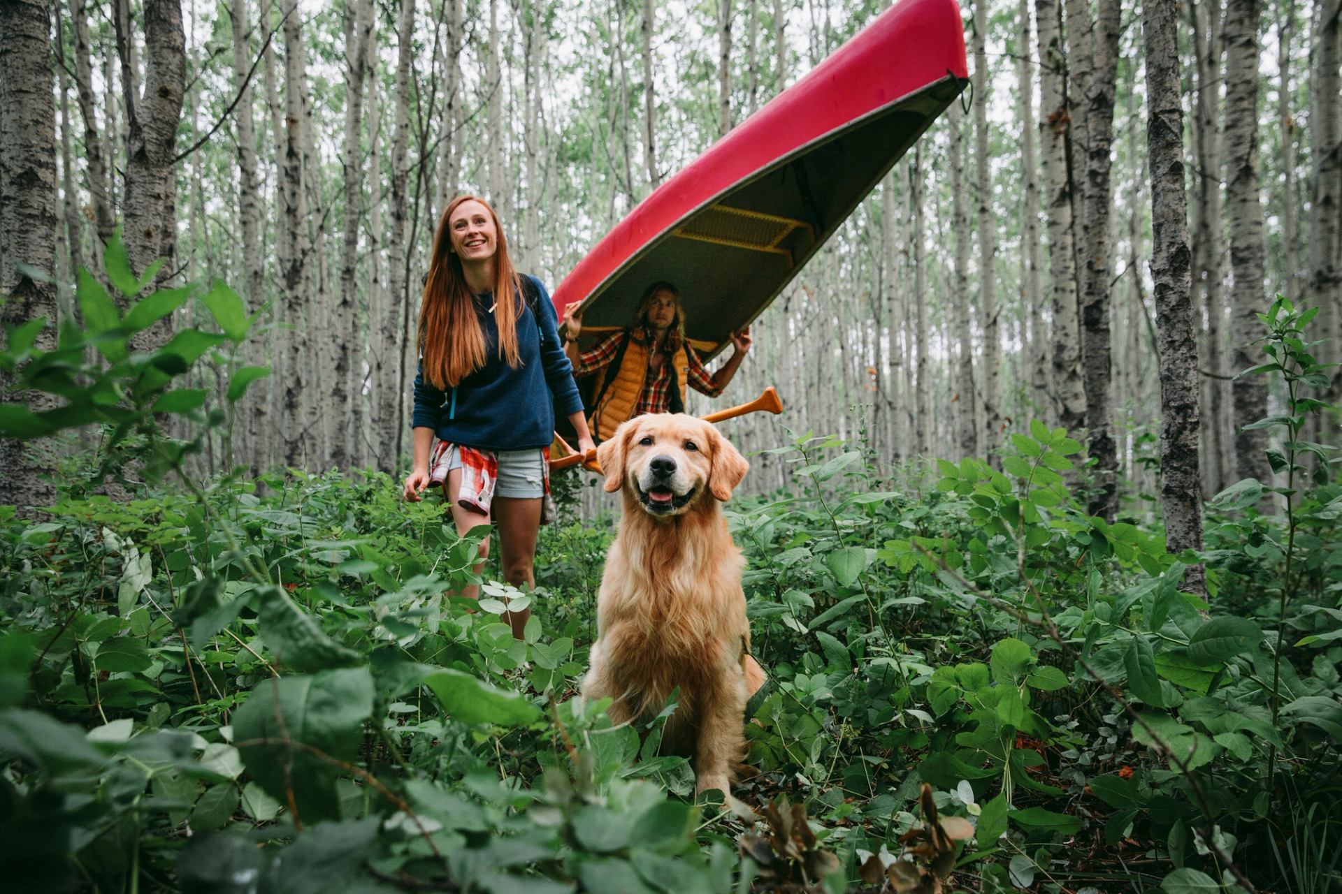 A couple hiking in the woods with a dog, carrying a red canoe.