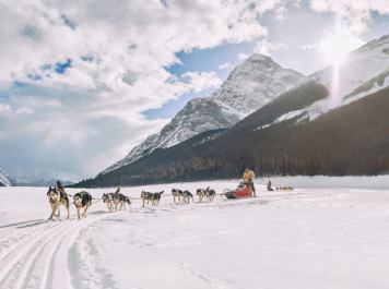 a person dogsledding against a snowy mountain landscape