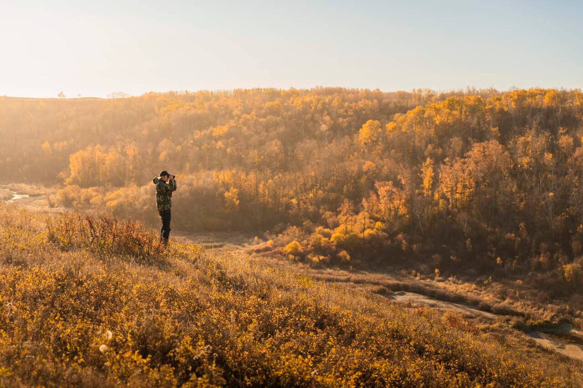 Man uses binoculars in fall environment