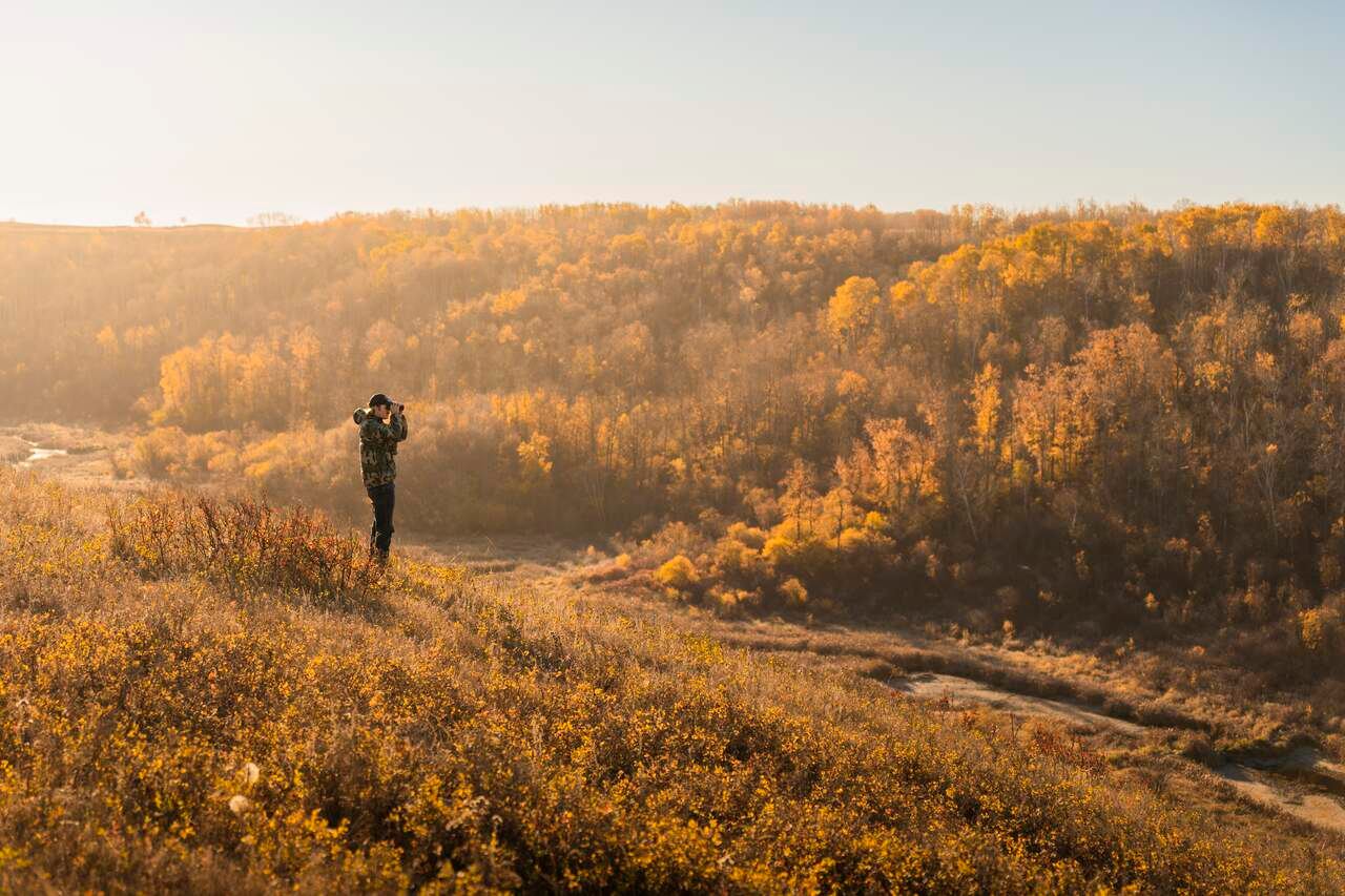 Man uses binoculars in fall environment