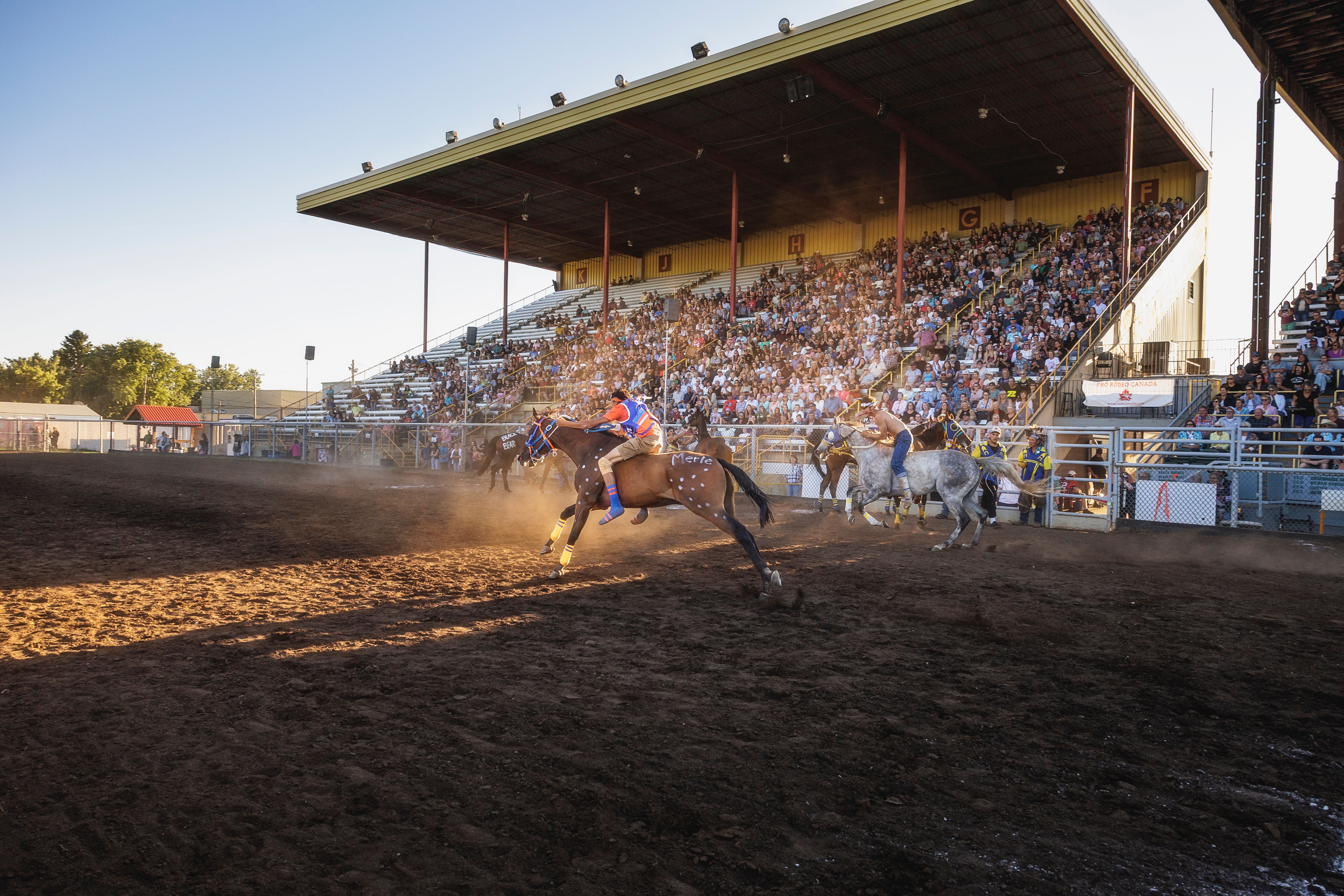 Riders speed past the cheering grandstands at the start of the first lap during the Indian Relay Race.