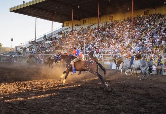 Two riders thunder on horseback toward the exchange zone, where teammates stand ready during a relay race.