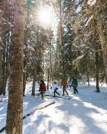 Four people walking through the snow covered woods with bows and arrows.