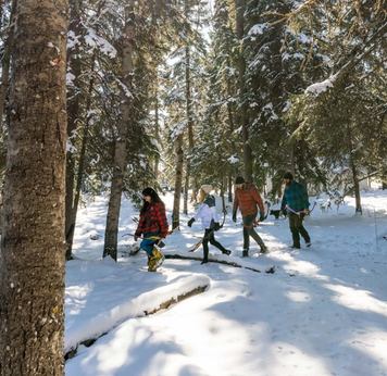 Four people walking through the snow covered woods with bows and arrows.