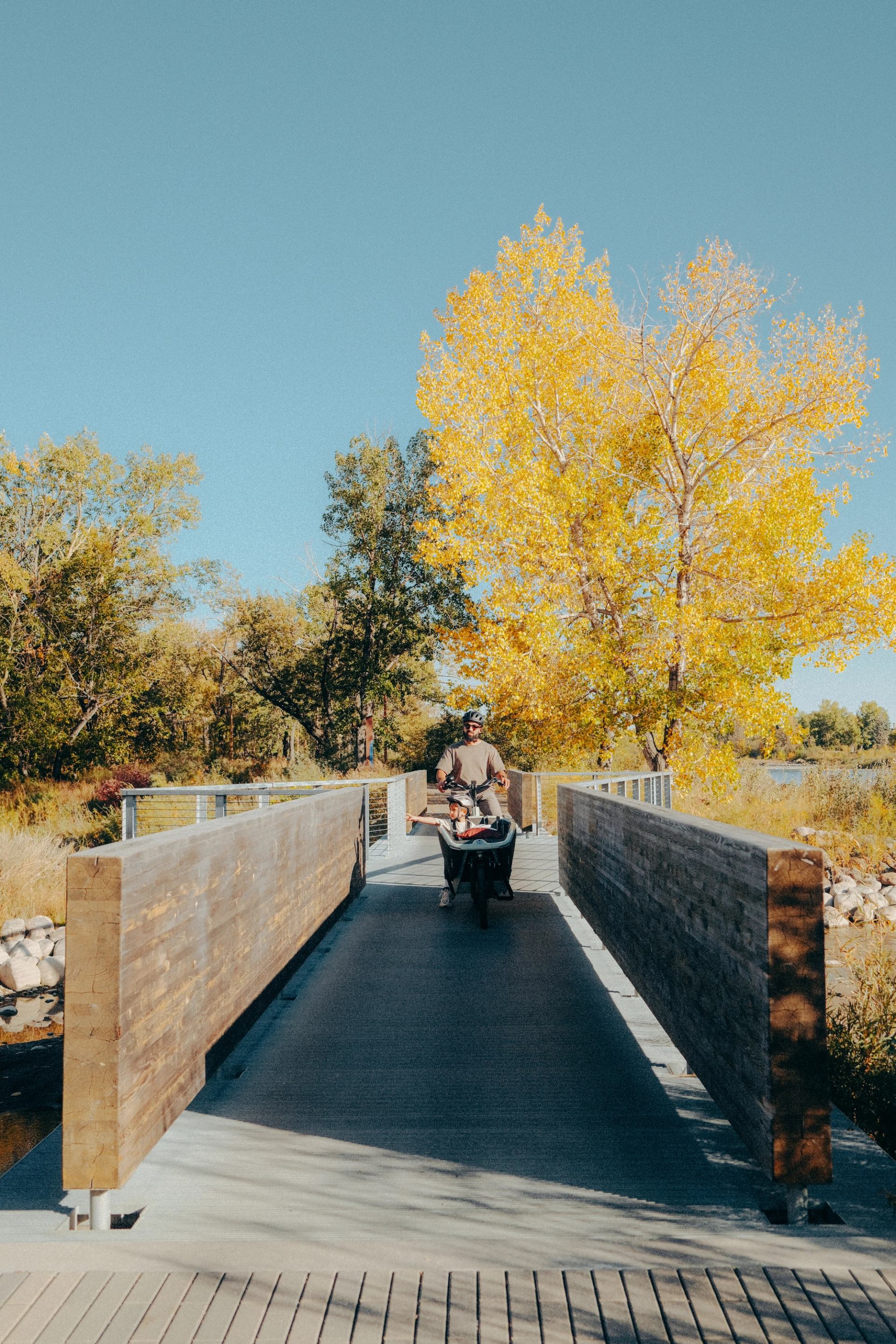 A dad bikes across a pedestrian bridge with his son riding in the cargo bike portion on a sunny fall day