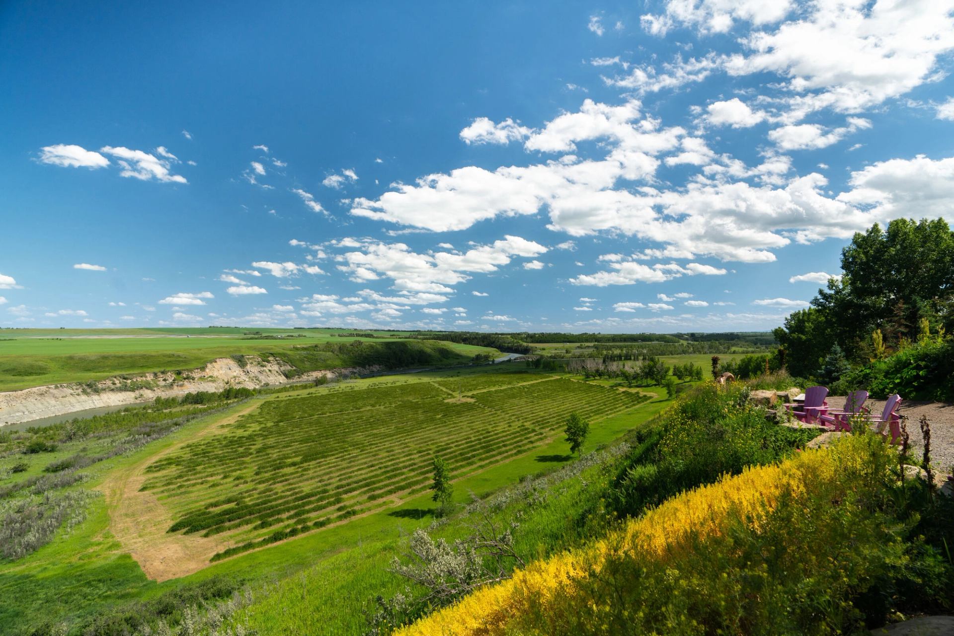 Wide shot of the valley behind Saskatoon Farm.
