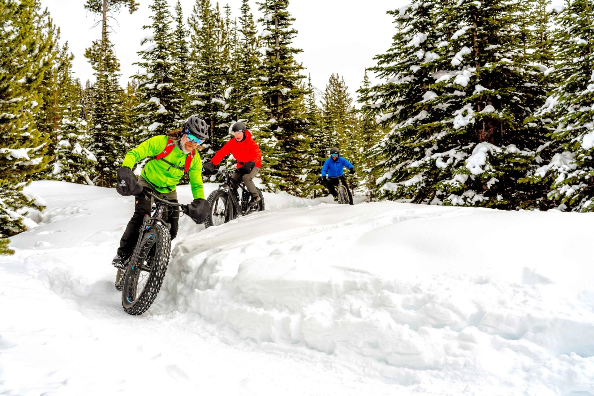 Fatbikers rounding a curve while biking on trail in forest in winter in Kananaskis Country.