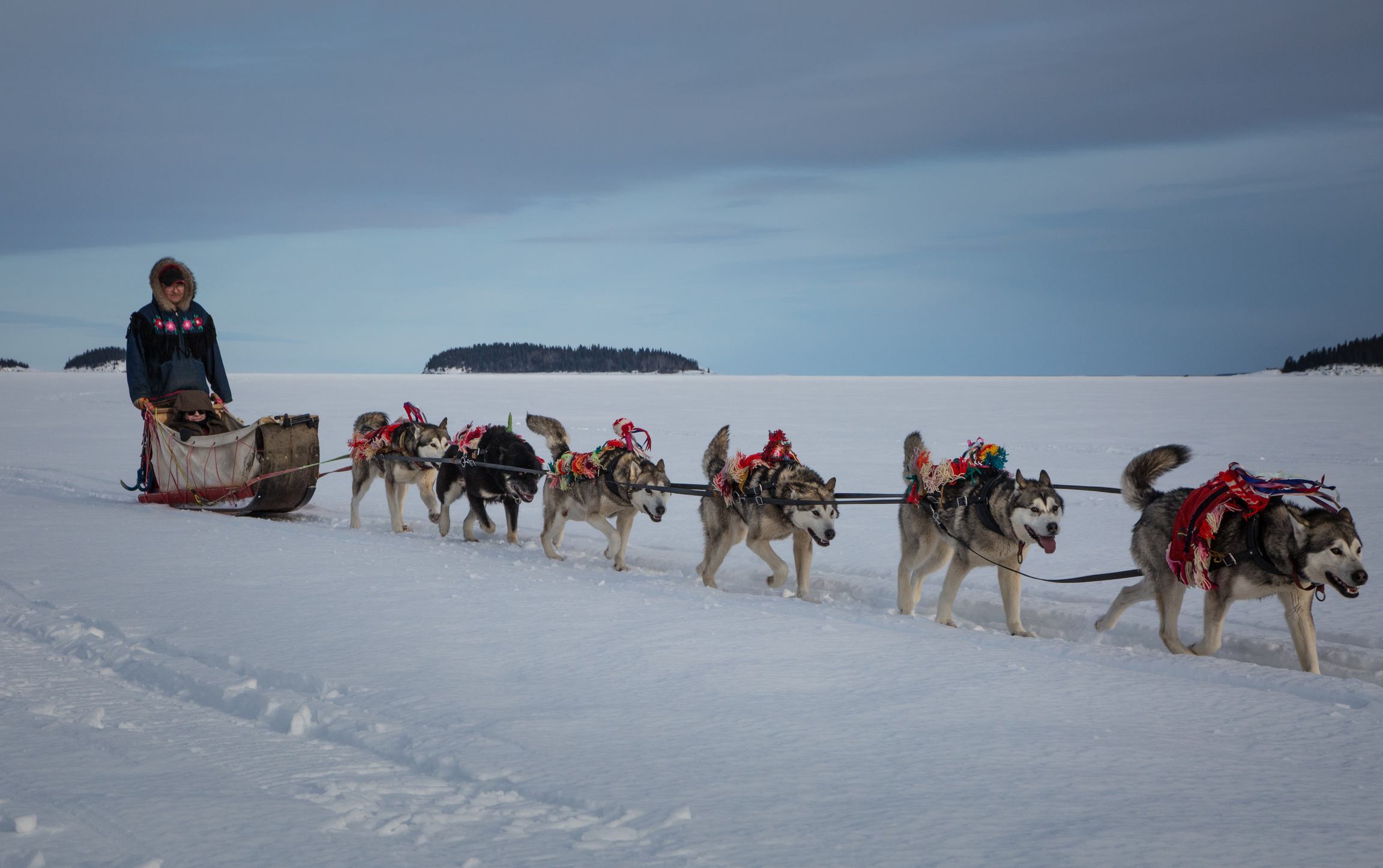 Winter Road to Canadian Adventure | Canada's Alberta