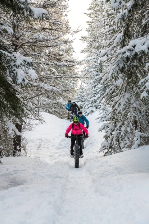 Group of people fatbiking on snowy trail through the trees in Castle Provincial Park.