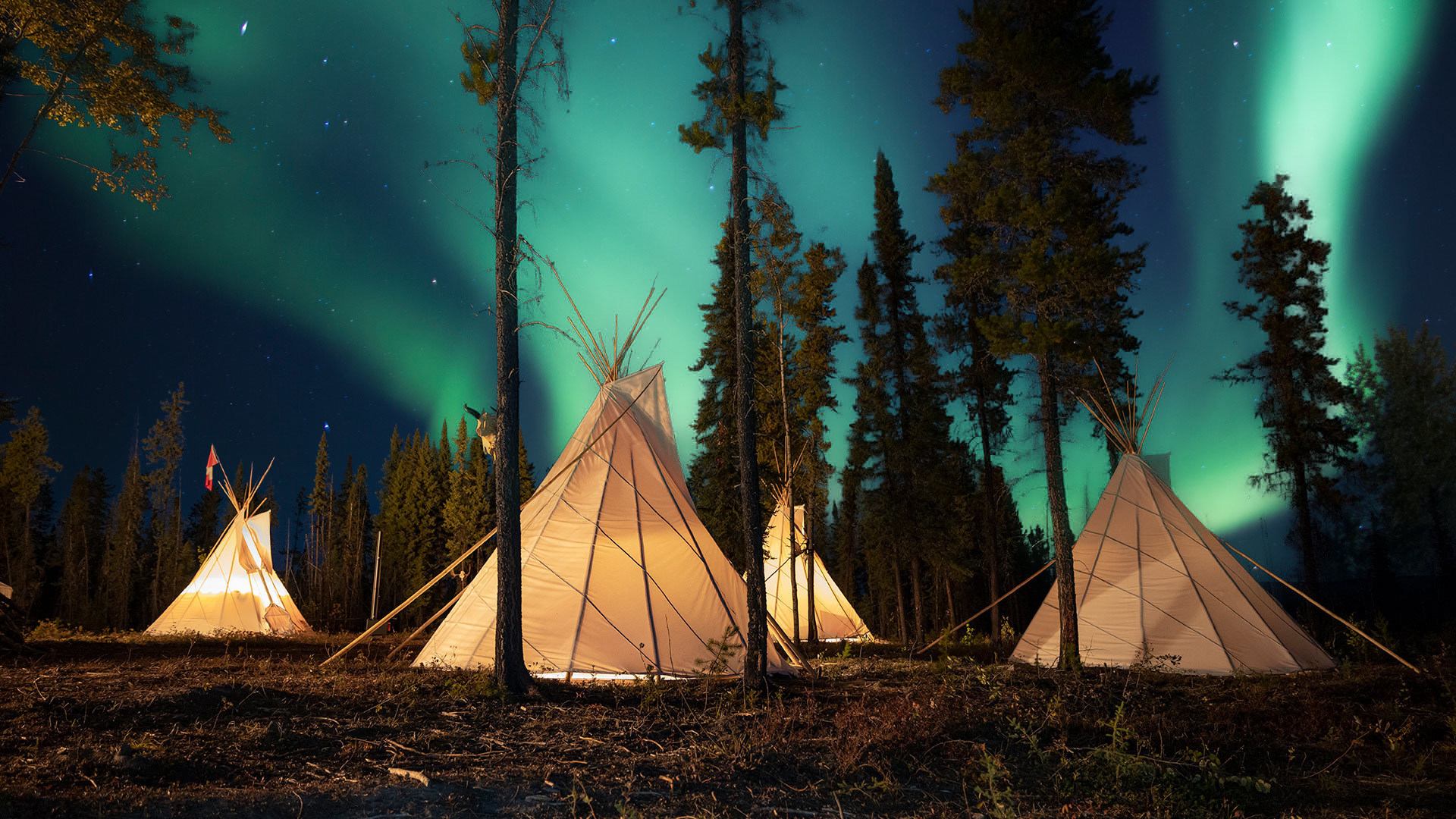 Four teepees in a forest with the northern lights dancing in the sky above.