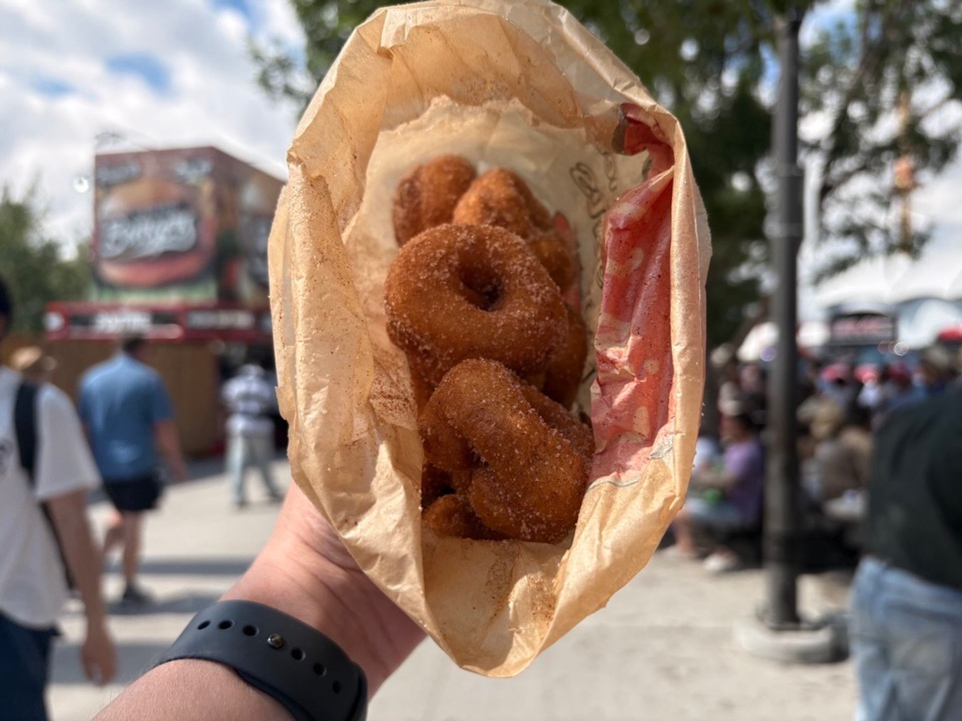 Golden-brown mini doughnuts covered in cinnamon sugar with the midway in the background.