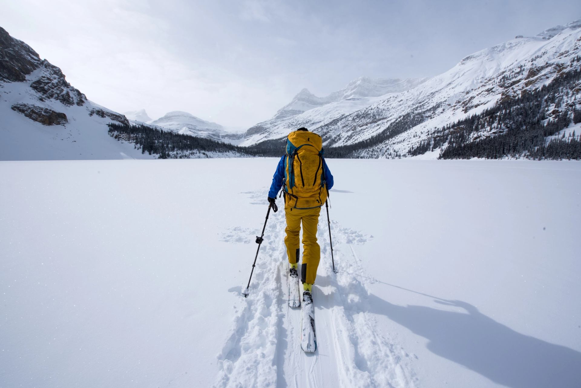 One cross country skier on the Wapta Traverse hut to hut ski tour in Jasper National Park