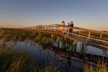 Birdwatchers stand on a bridge over a marshy area in northern Alberta.