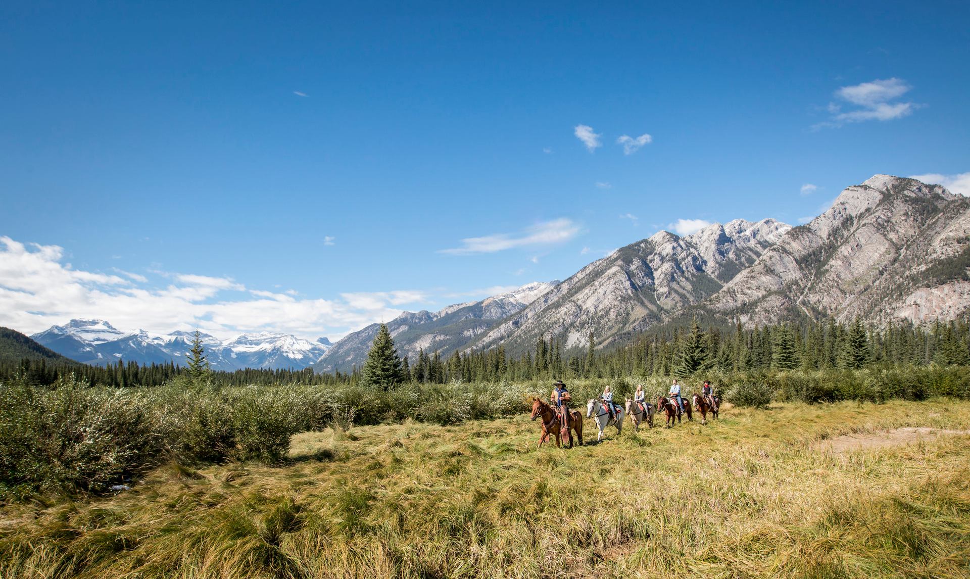 Group trail ride through a grassy field in Banff National Park.