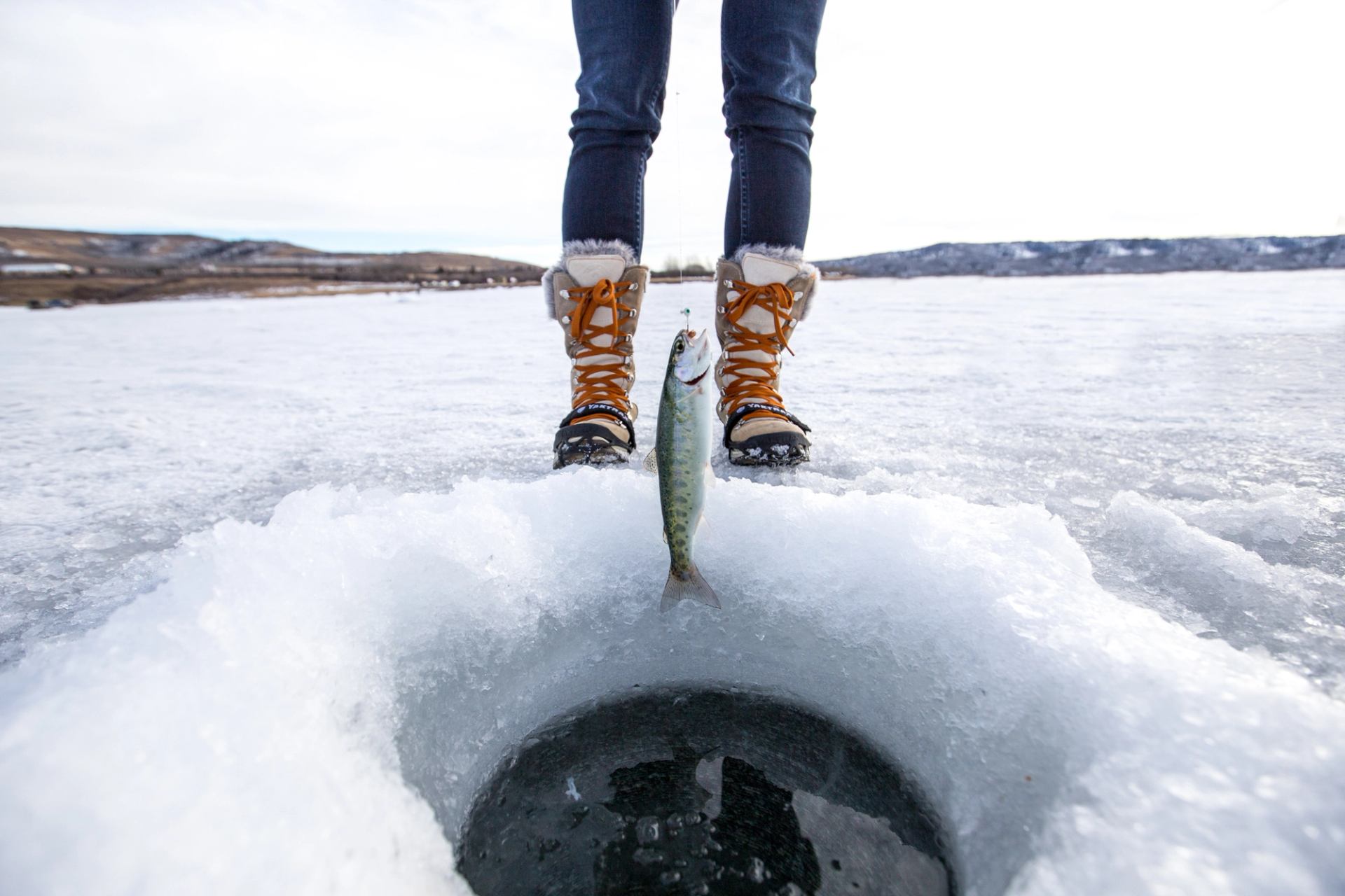 An angler pulls a fish out of the ice while ice fishing.