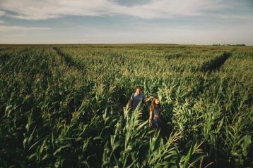 A young couple walking through a corn maze.