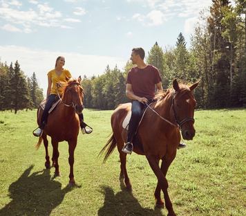 A man and a woman are riding horses in a sunny green field.