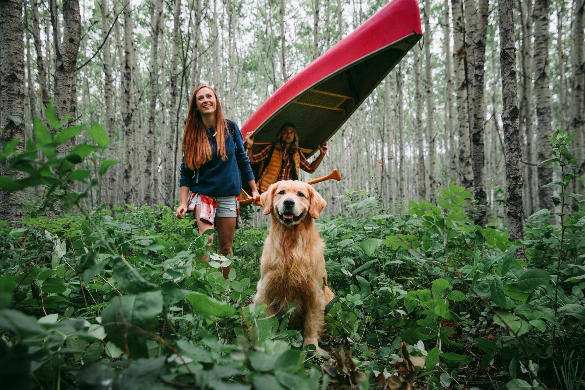 Friends hiking in the woods with a golden retriever, carrying a red canoe.