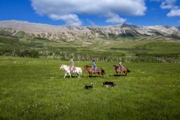 Guests horseback riding at Centre Peak High Country Adventures in Crowsnest Pass