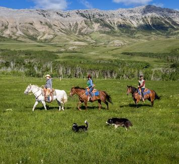 Guests horseback riding at Centre Peak High Country Adventures in Crowsnest Pass