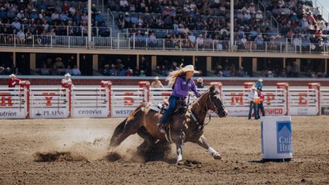 Barrel racer at the Calgary Stampede