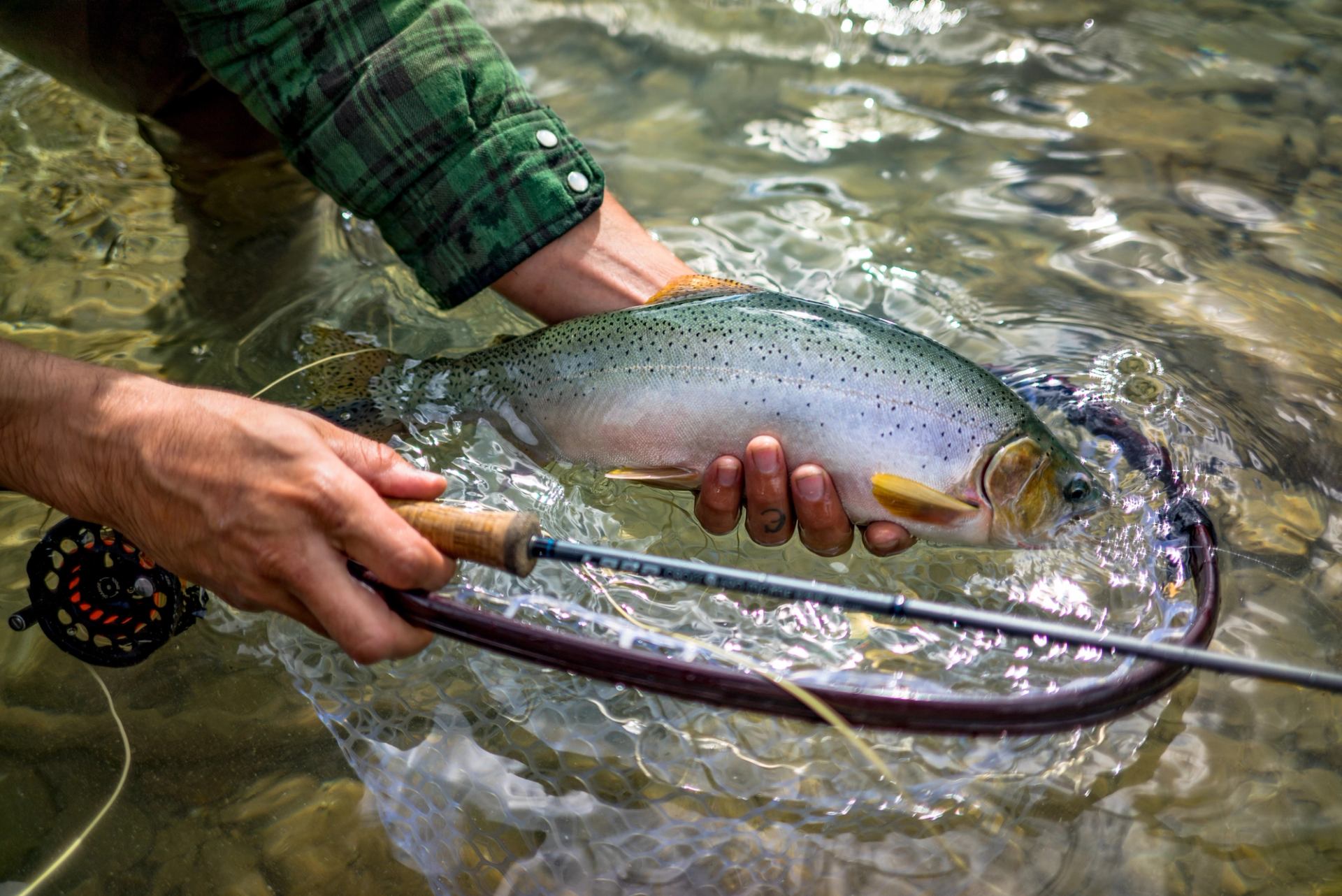 Person holding fish over the water caught fly fishing at Marvel Lake