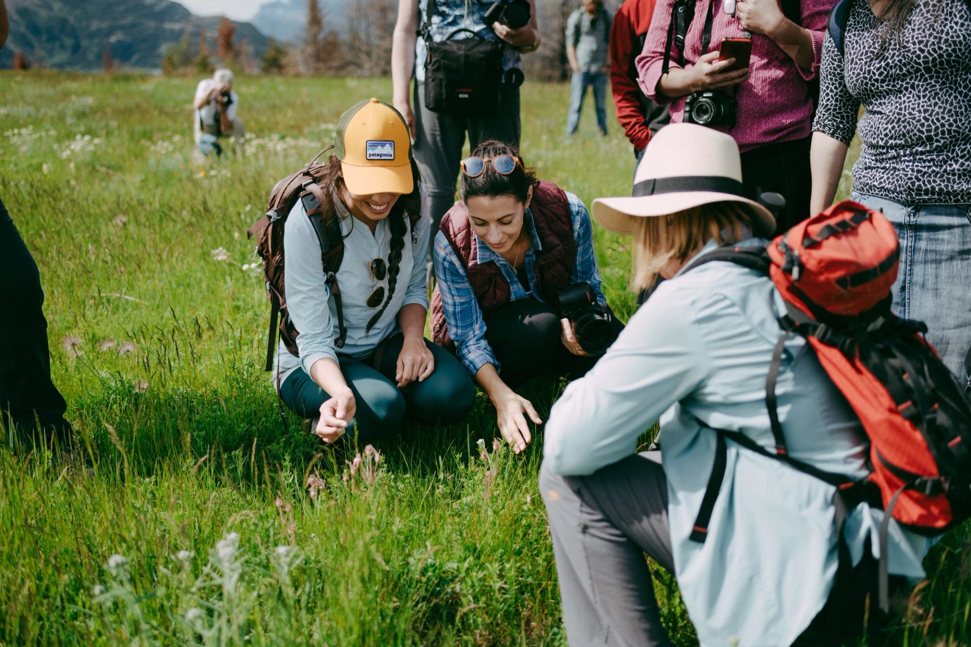 Visitors taking photos and exploring plant species in Waterton Lakes National Park