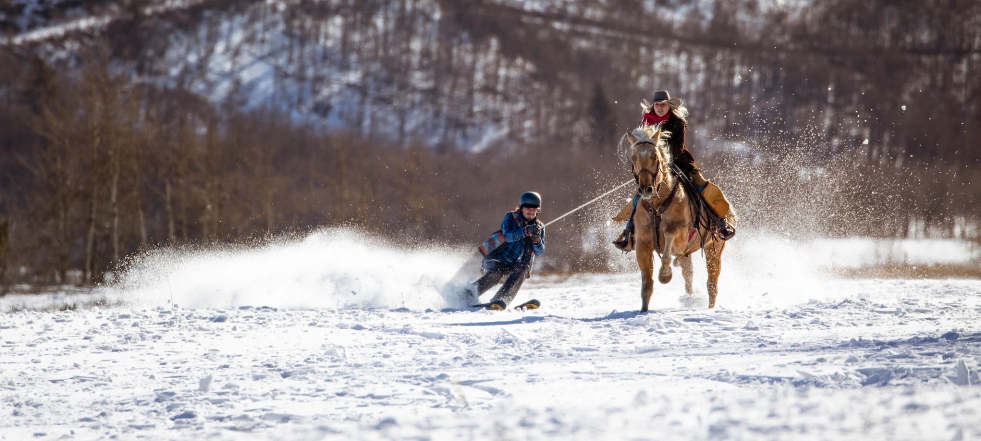 A person on skis is pulled behind a horse.