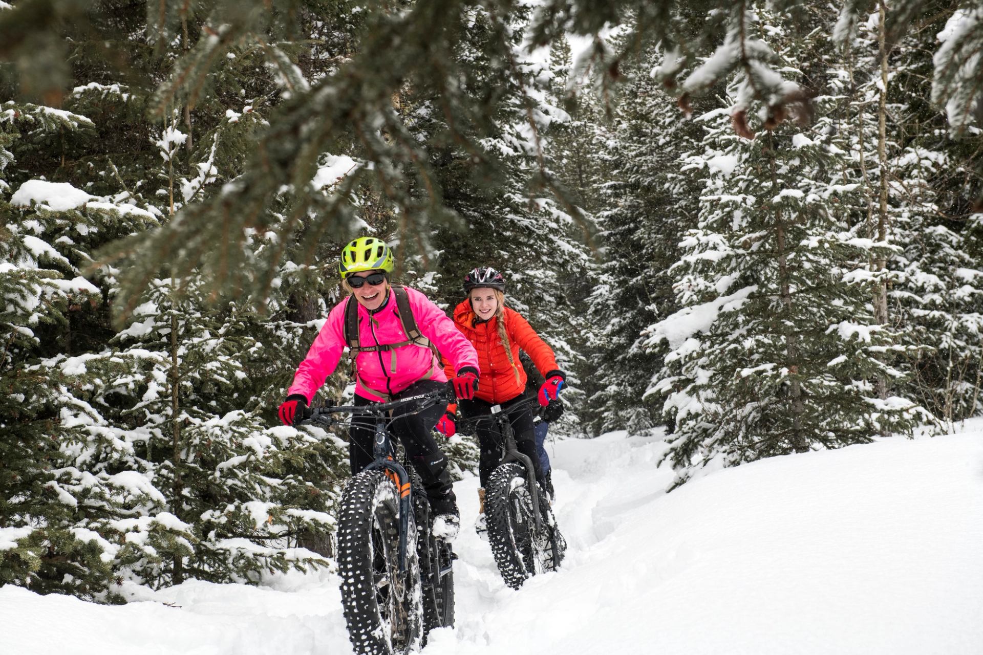 Two women fat biking on snowy trails amid the trees.