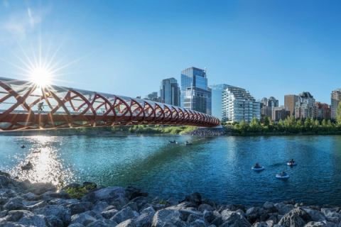 A group of buoyancy-aided friends leisurely float down Calgary's Bow River on inner tubes, passing under the iconic Peace Bridge. Lush tree-lined riverbanks create a serene backdrop, with the distant cityscape adding to the carefree summer atmosphere.