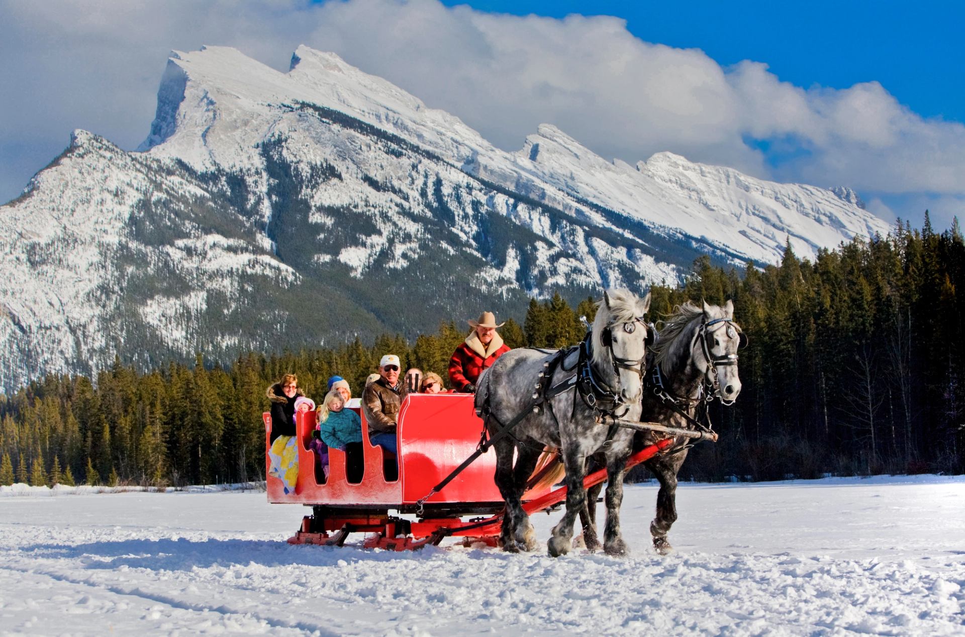 Travellers enjoy a sleigh ride pulled by a pair of white and grey horses through an alpine meadow with a mountain in the background.