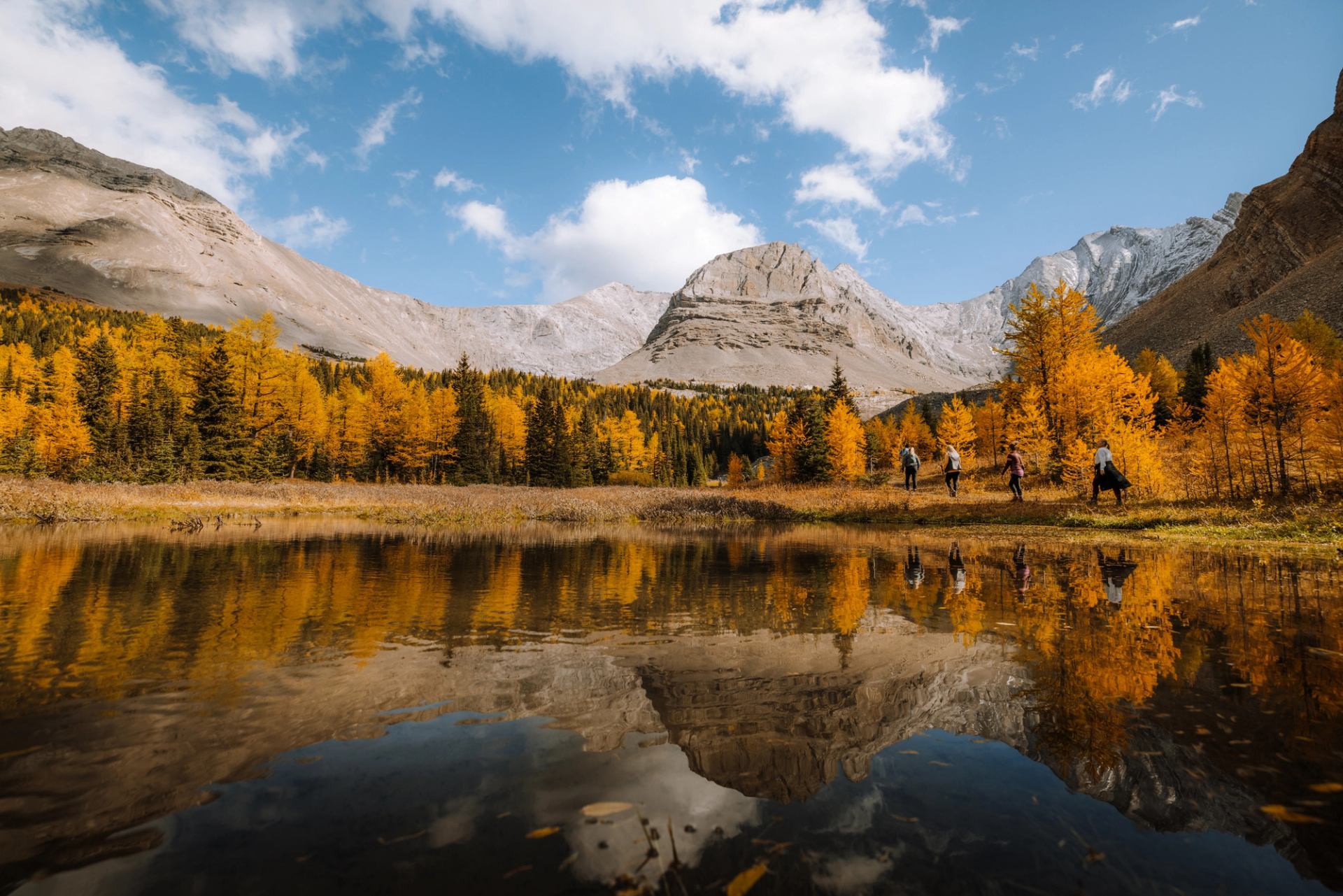 Hiker enjoying orange-gold larch trees at Little Arethusa Trail