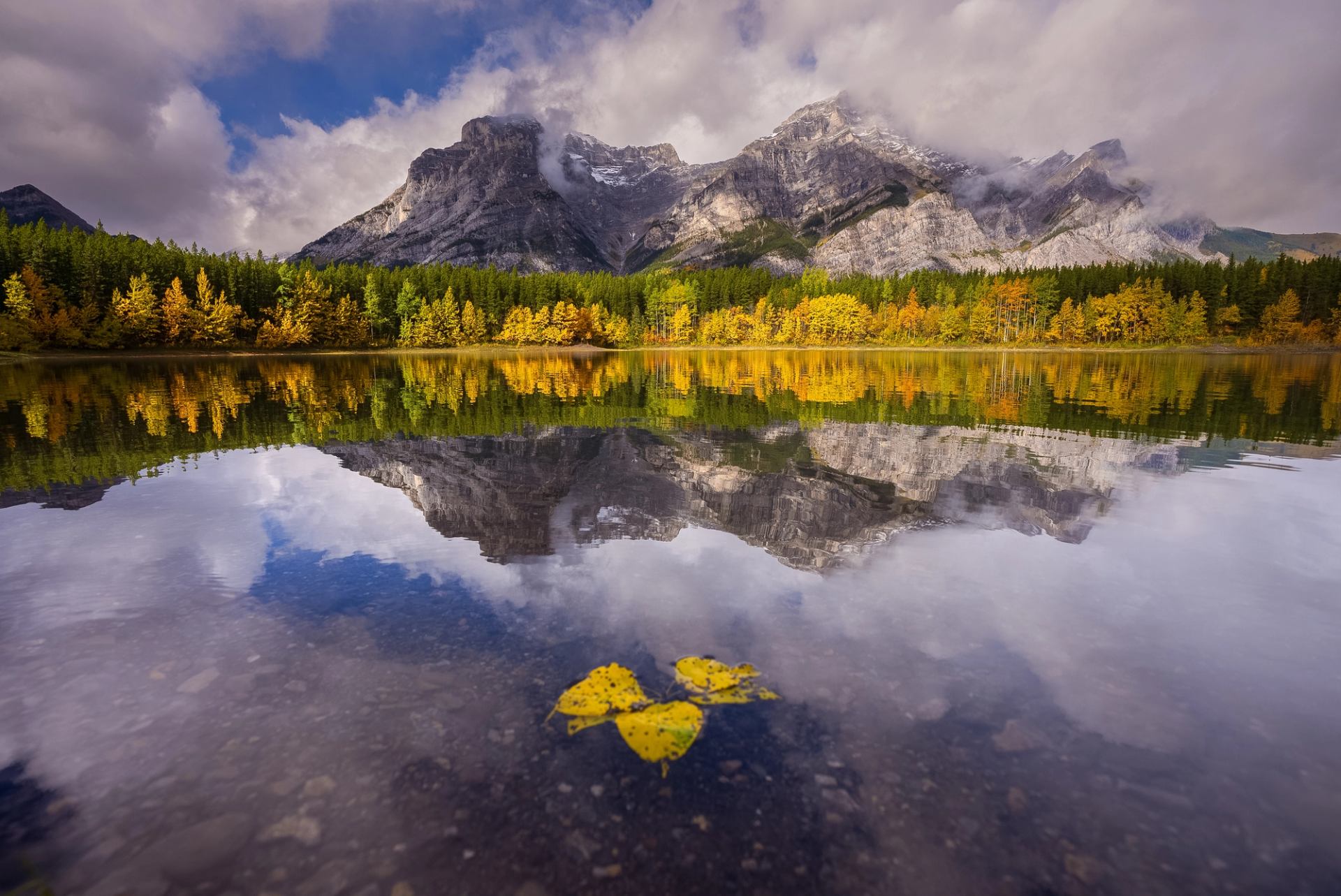 The glassy water of wedge pond reflects yellow-leafed trees and the Rocky Mountains