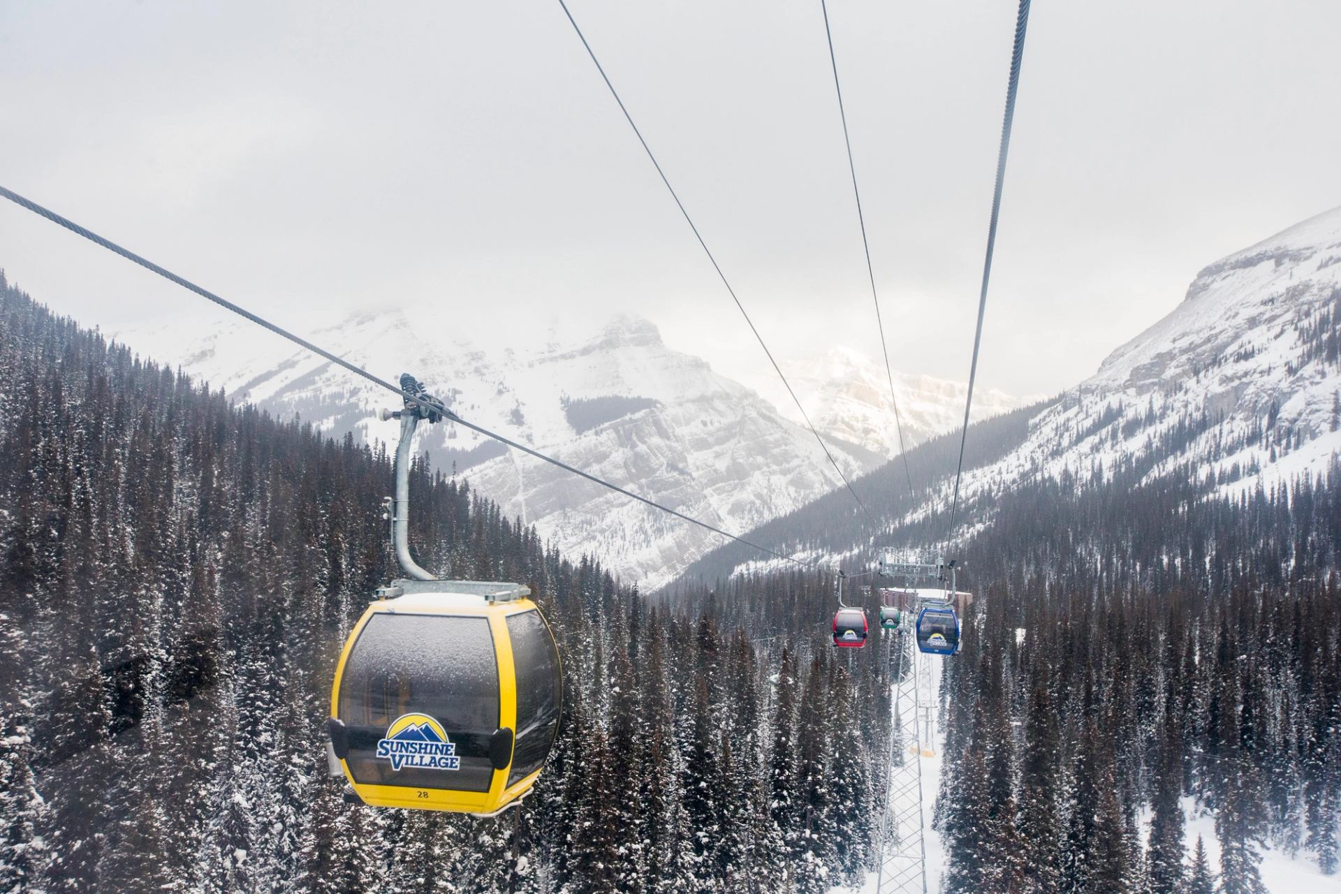 A gondola going up its track in the snow covered mountains.