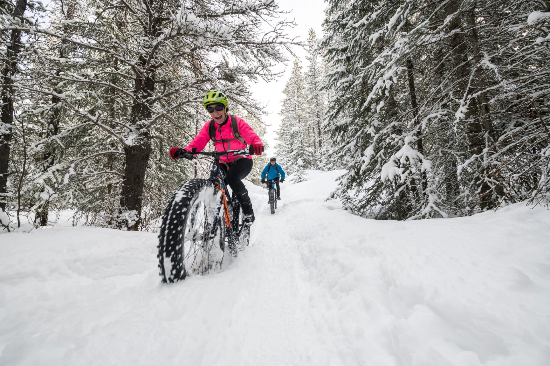 People fatbiking on a snowy trail through the trees in Castle Provincial Park