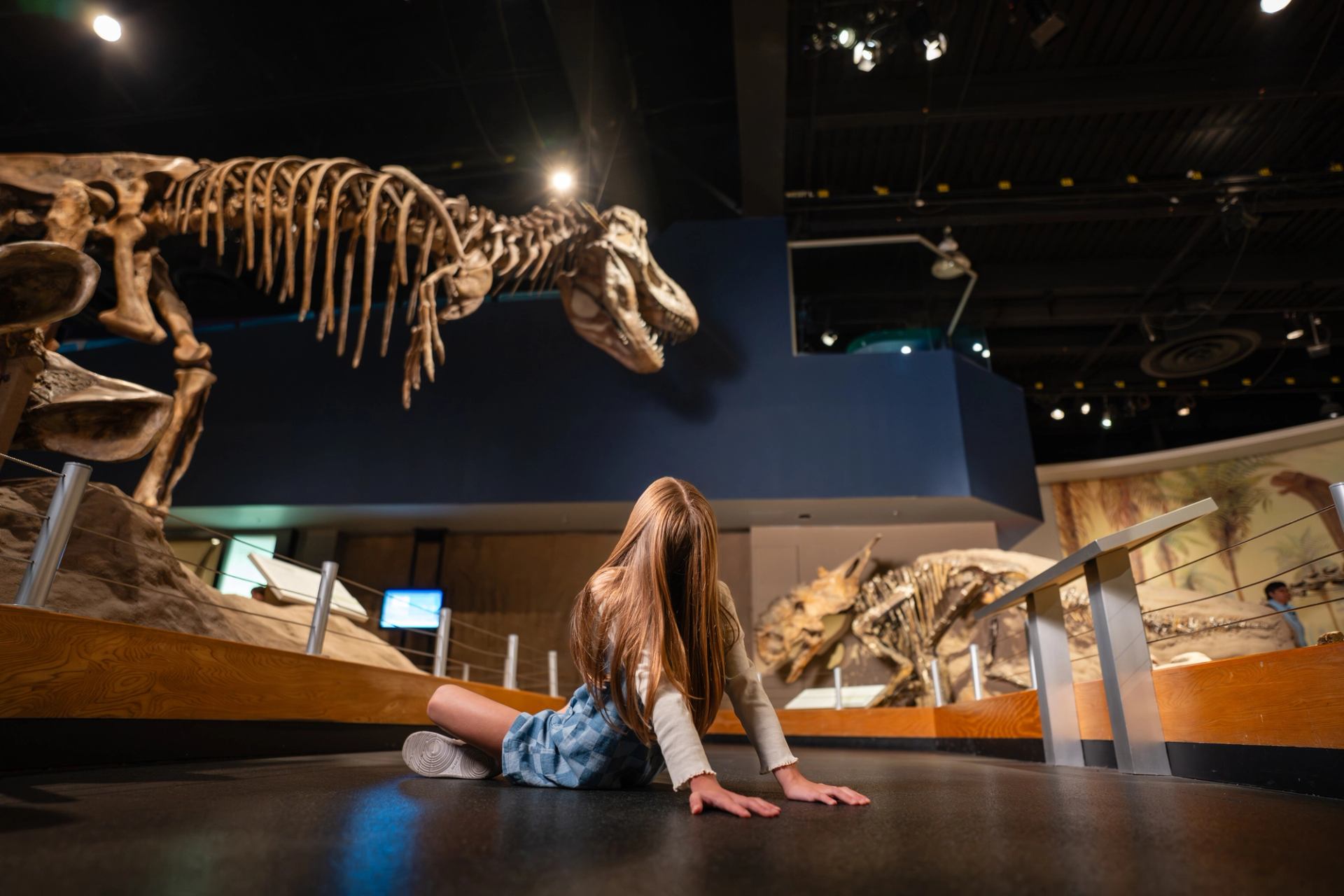 A girl sits on the floor and looks up at a dinosaur skeleton at the Royal Tyrrell Museum.