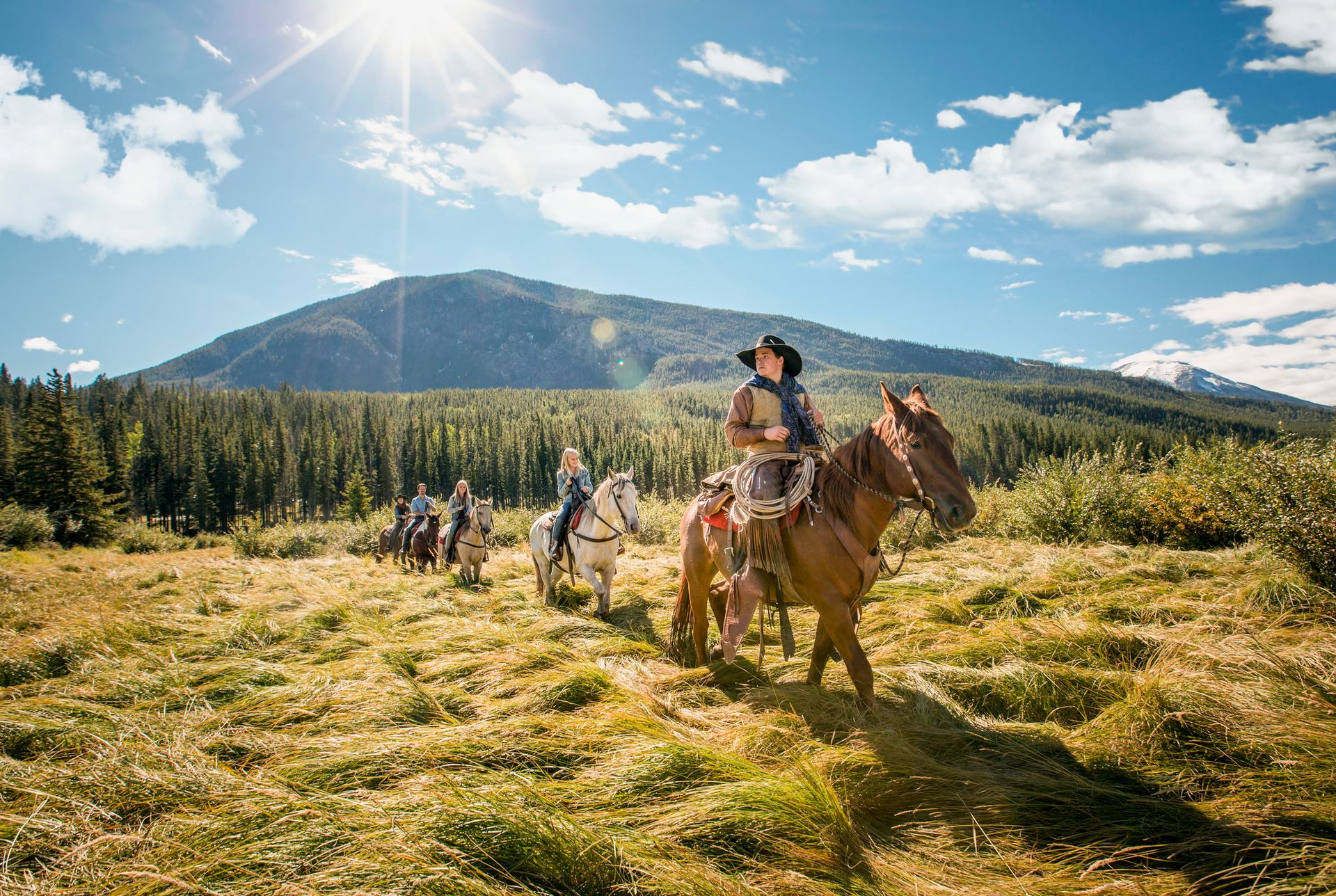 Trail riding through a grassy field in the mountains in Banff National Park