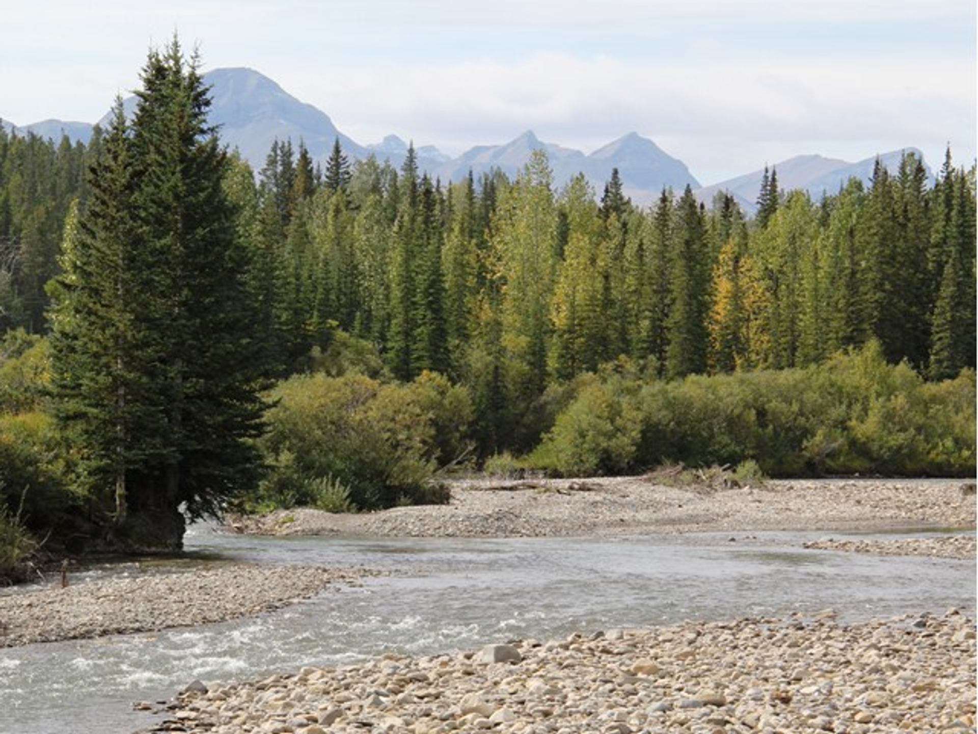 River flowing through Watson Creek