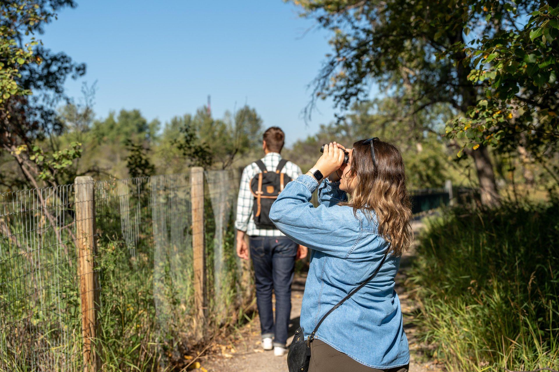 A birdwatcher uses binoculars on a forested trail at Inglewood Bird Sanctuary in summertime.