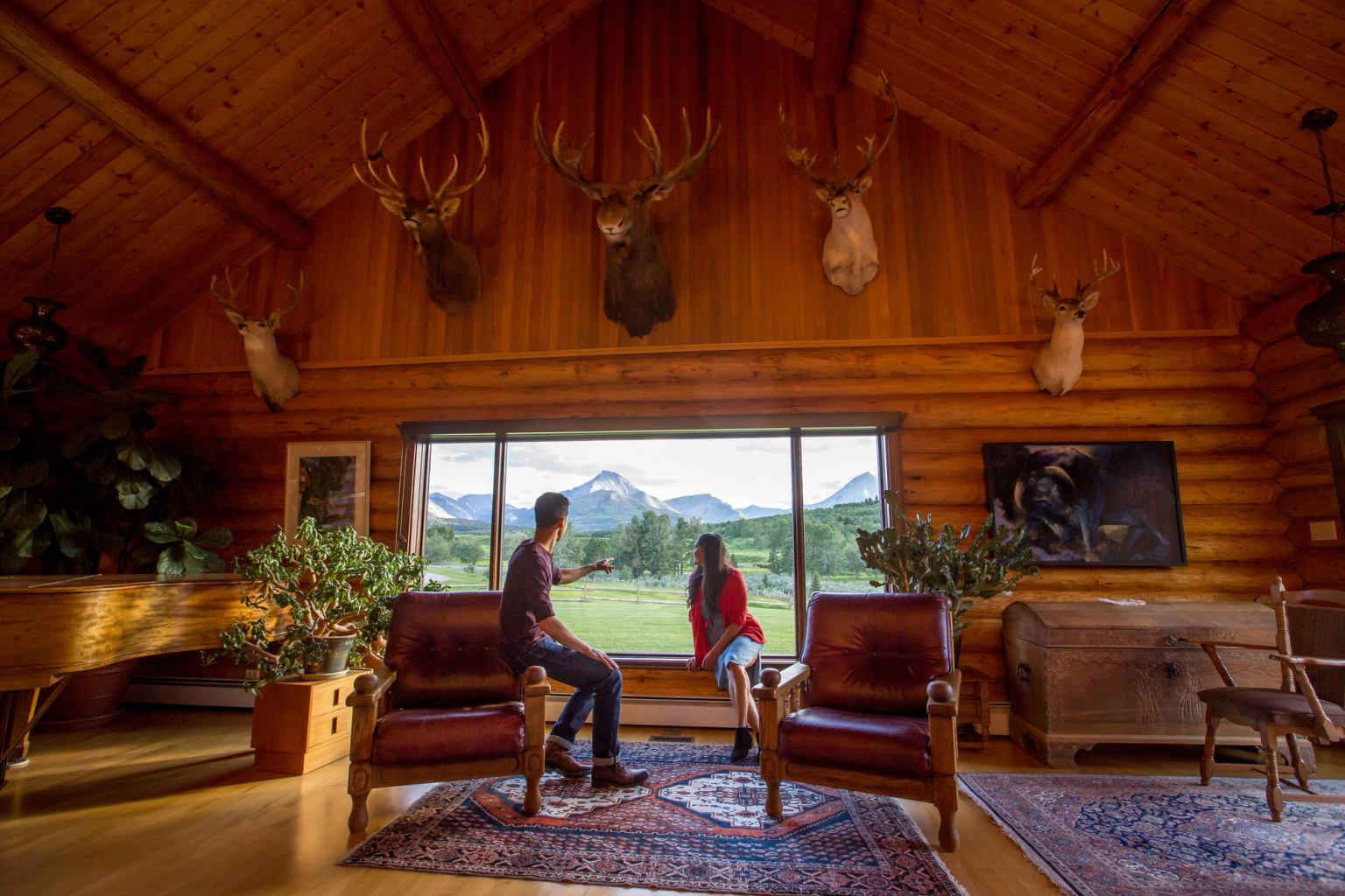 Saddle Up for Adventure at Alberta's Most Authentic Ranch Experiences ...
