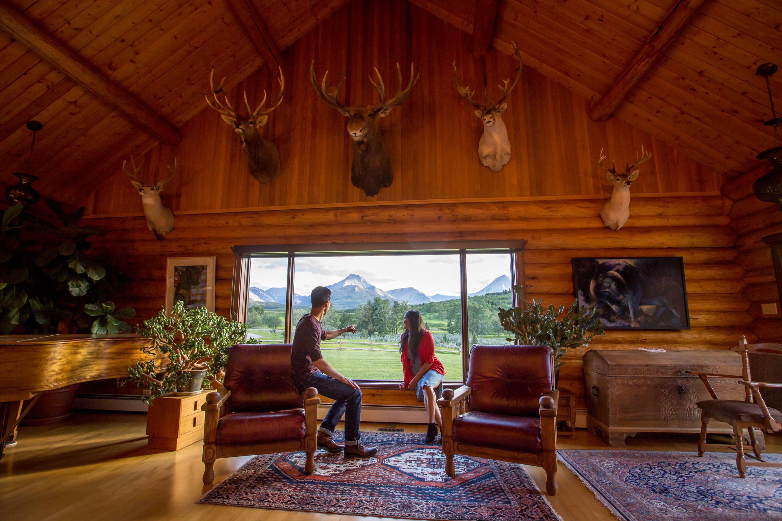 Saddle Up for Adventure at Alberta's Most Authentic Ranch Experiences ...
