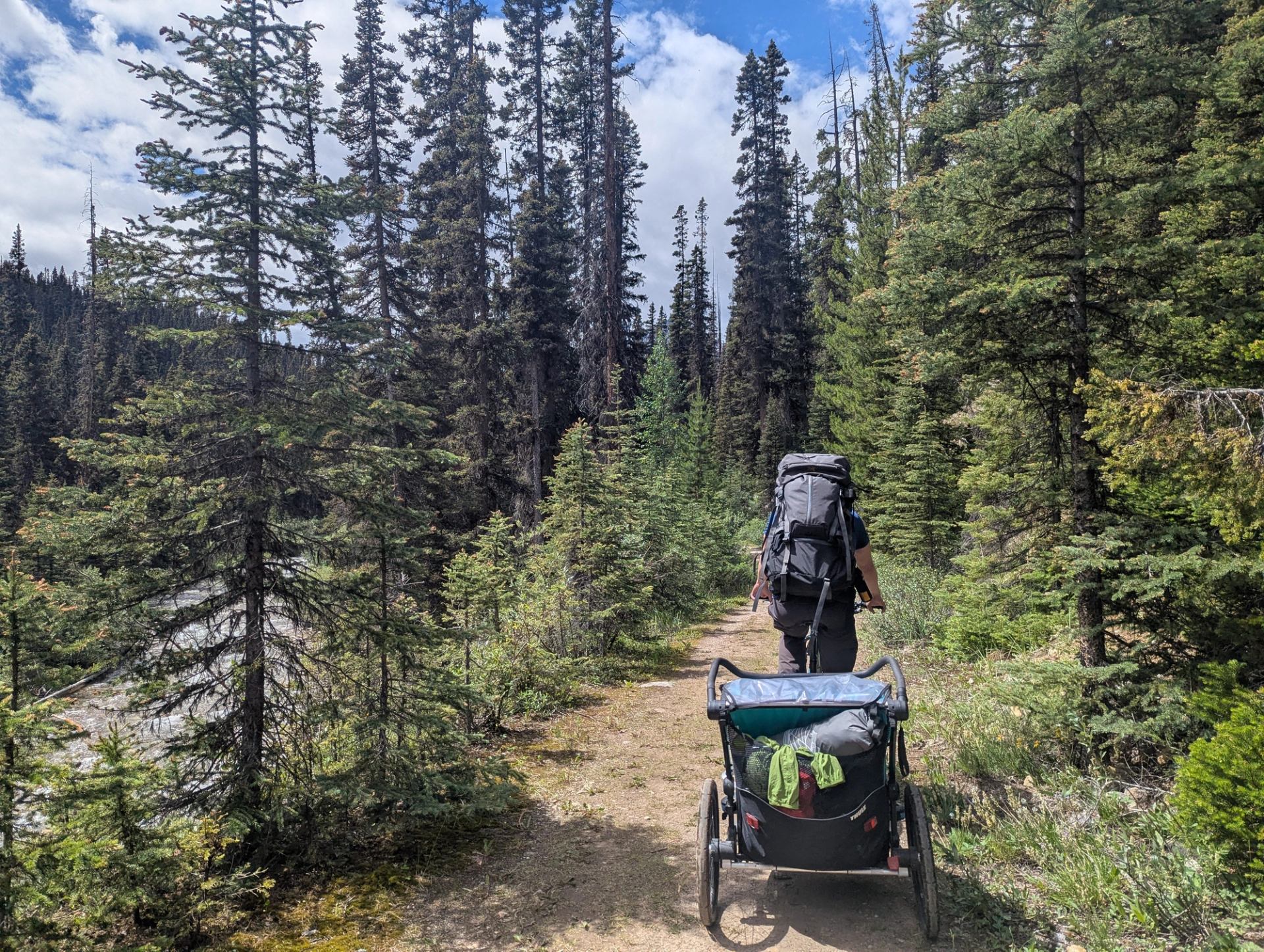 A cyclist rides up Redearth Creek Trail on a bike, pulling a trailer of supplies