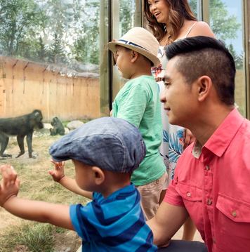 Family at mandrill enclosure at Calgary Zoo.